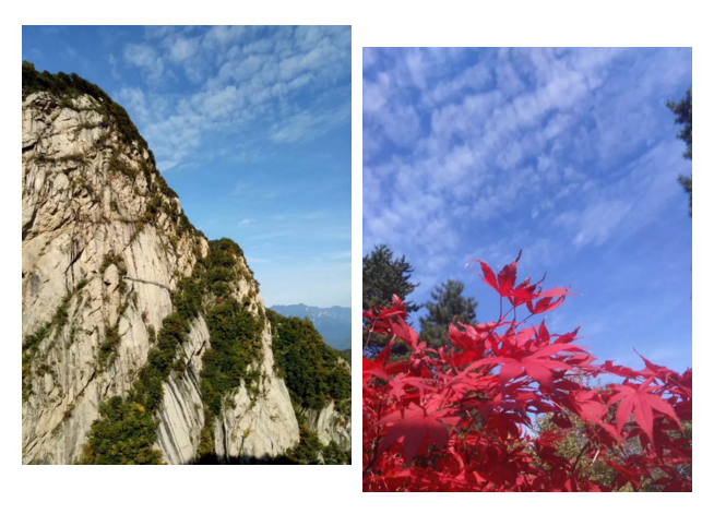 1509008506641218.png blob.png