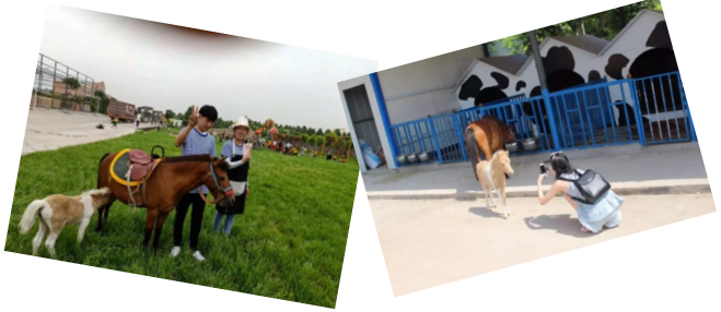 1536637358214600.png blob.png